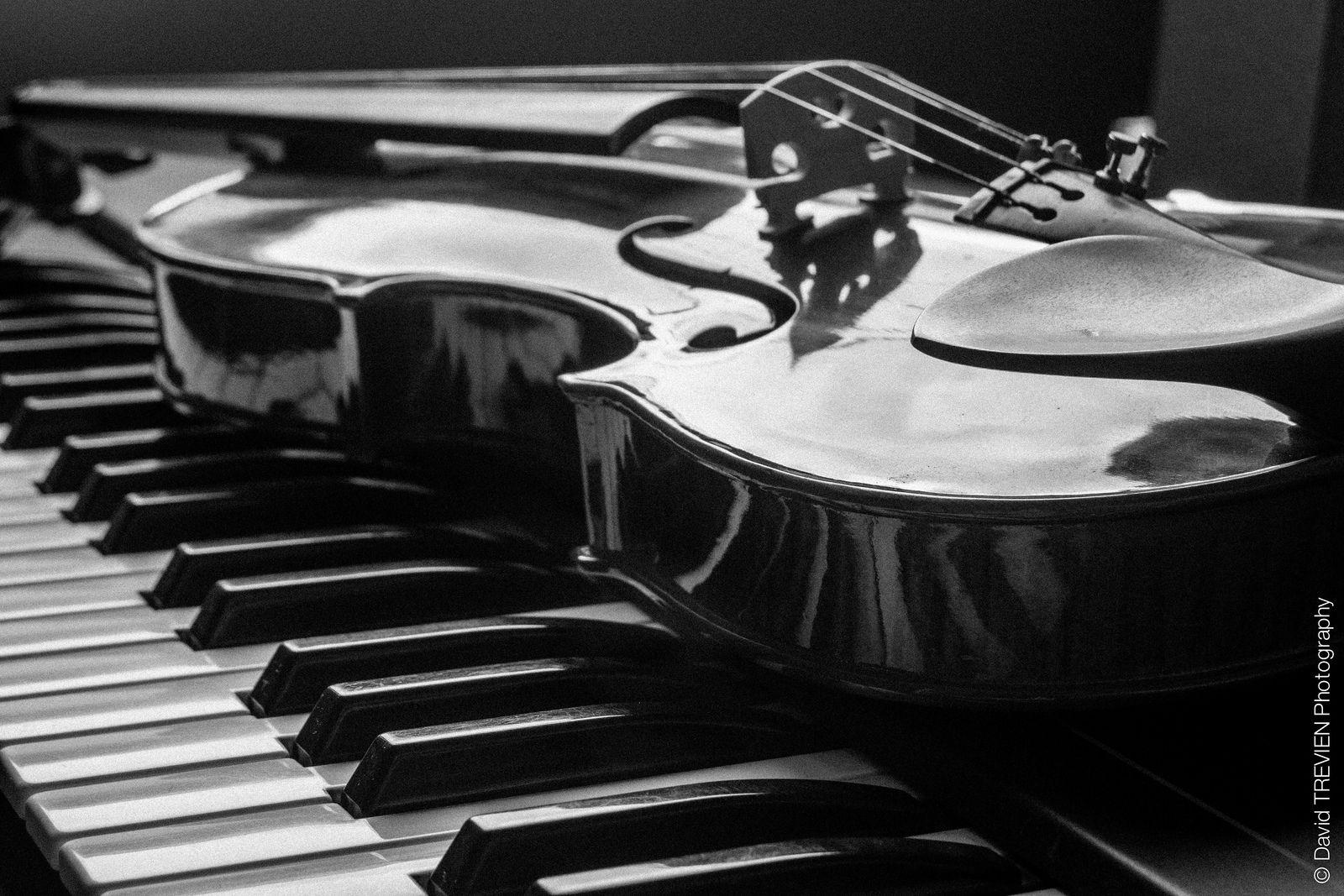 Piano and violin black and white wallpaper. Violin