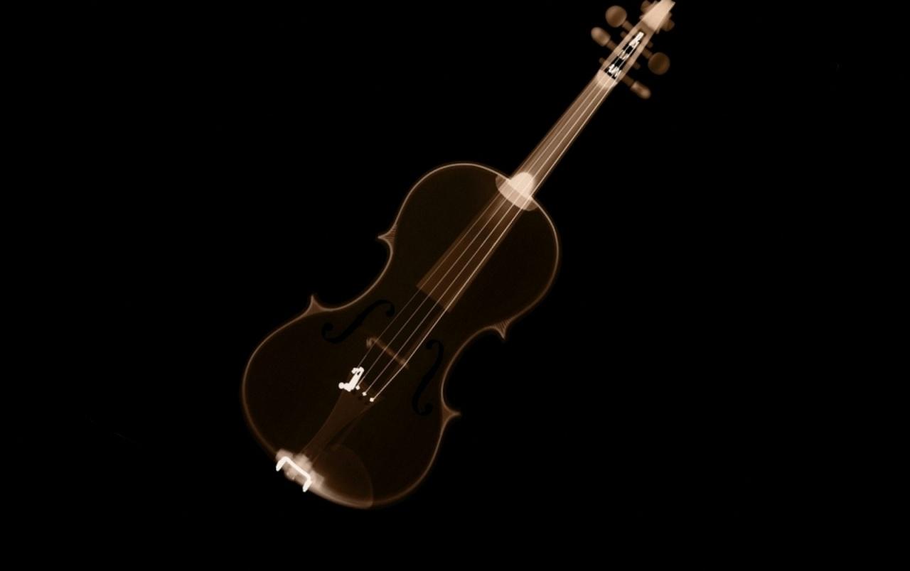 Violin wallpaper. Violin