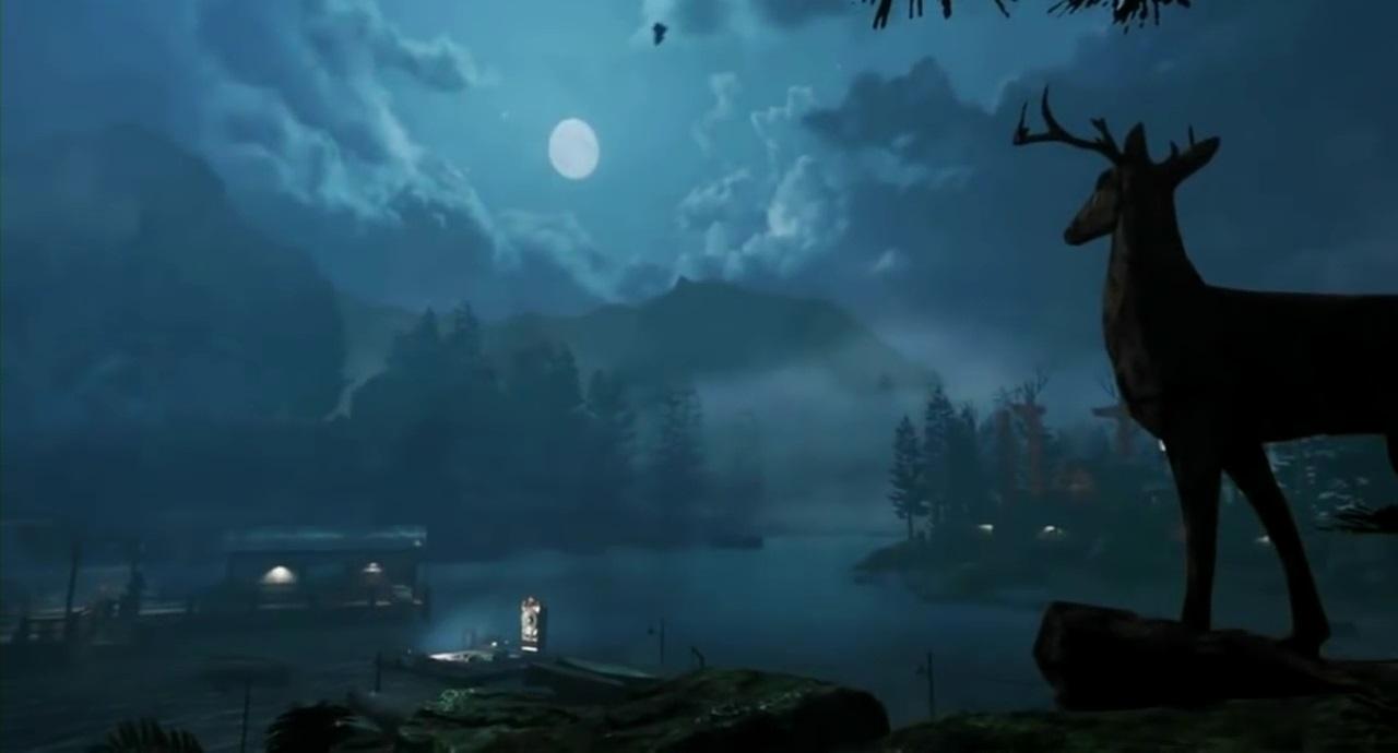 Rave In The Redwoods Wallpapers Wallpaper Cave