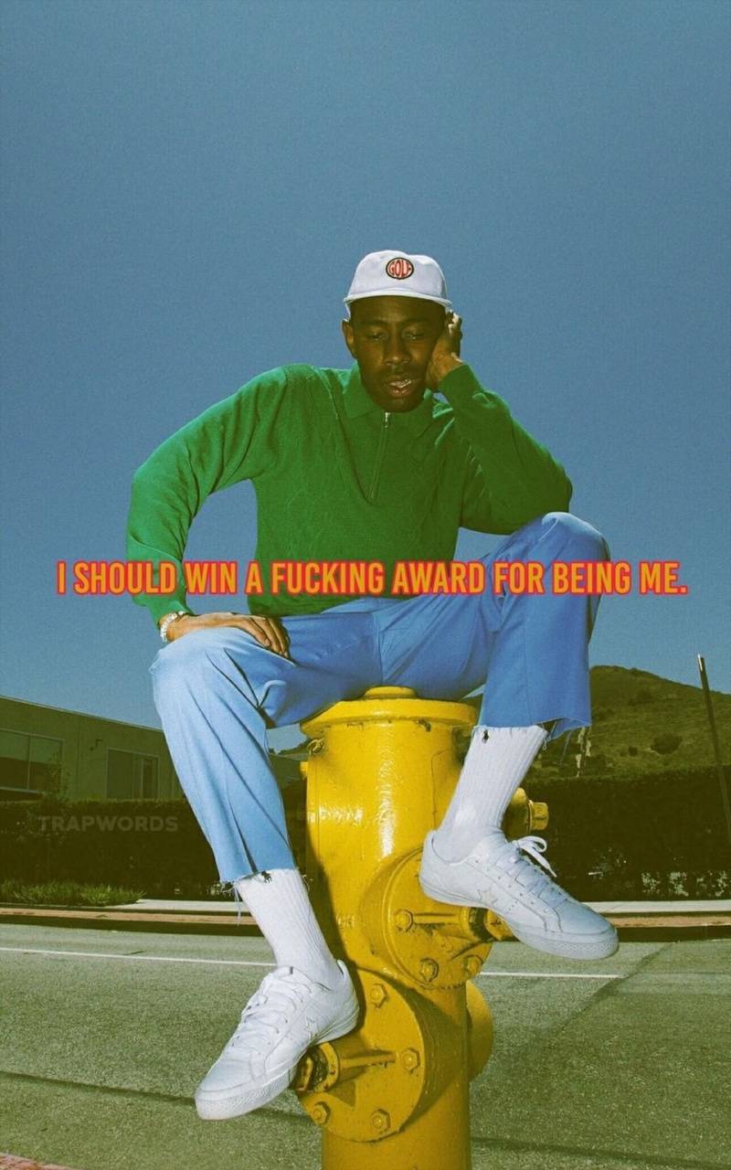 Tyler The Creator Aesthetic Wallpapers - Wallpaper Cave