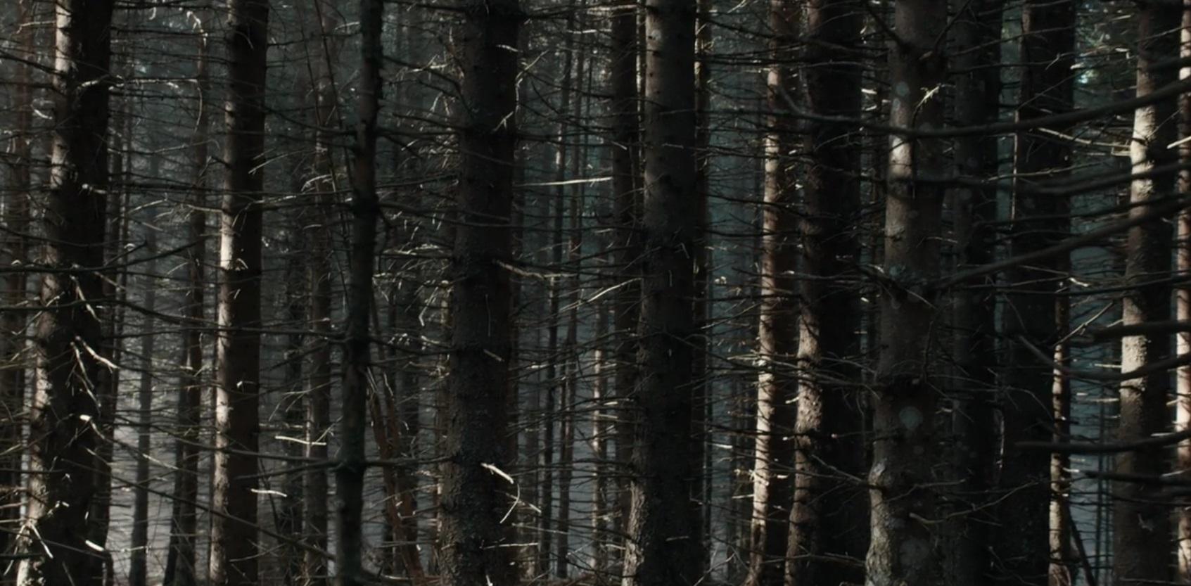 Фильмы ужасов про ритуалы в лесу
