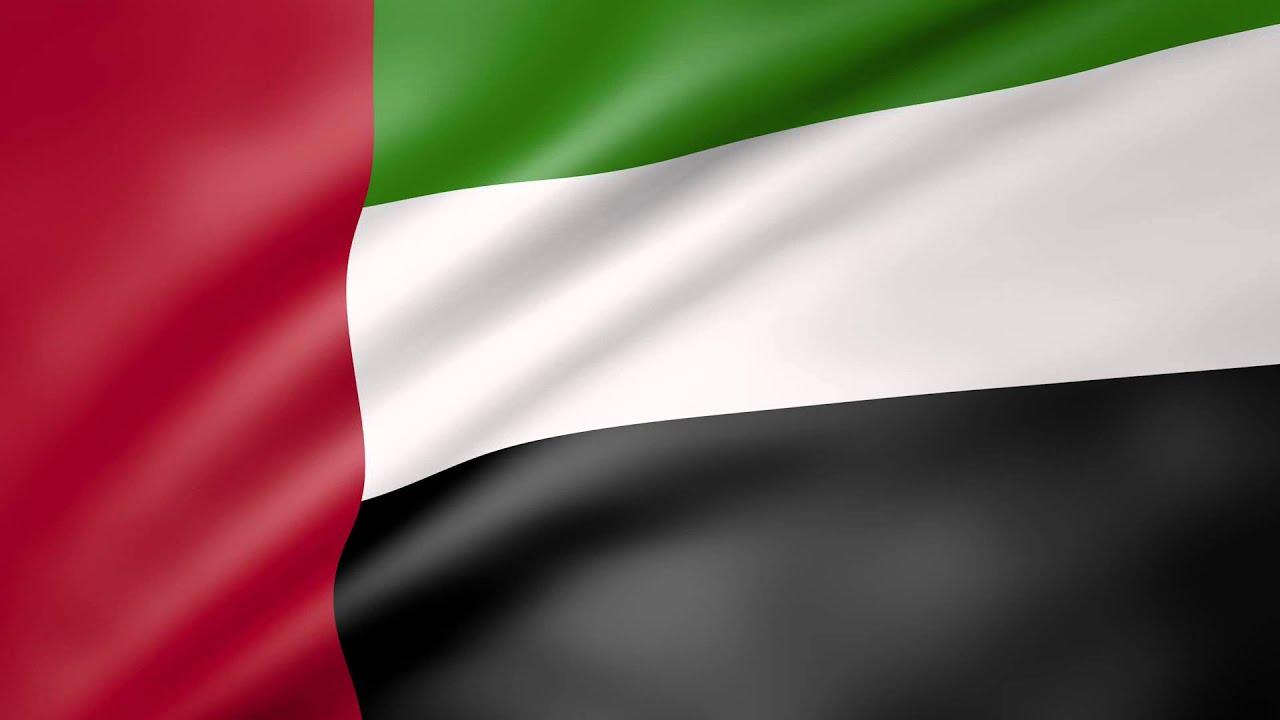 Flag Of The United Arab Emirates Wallpaper