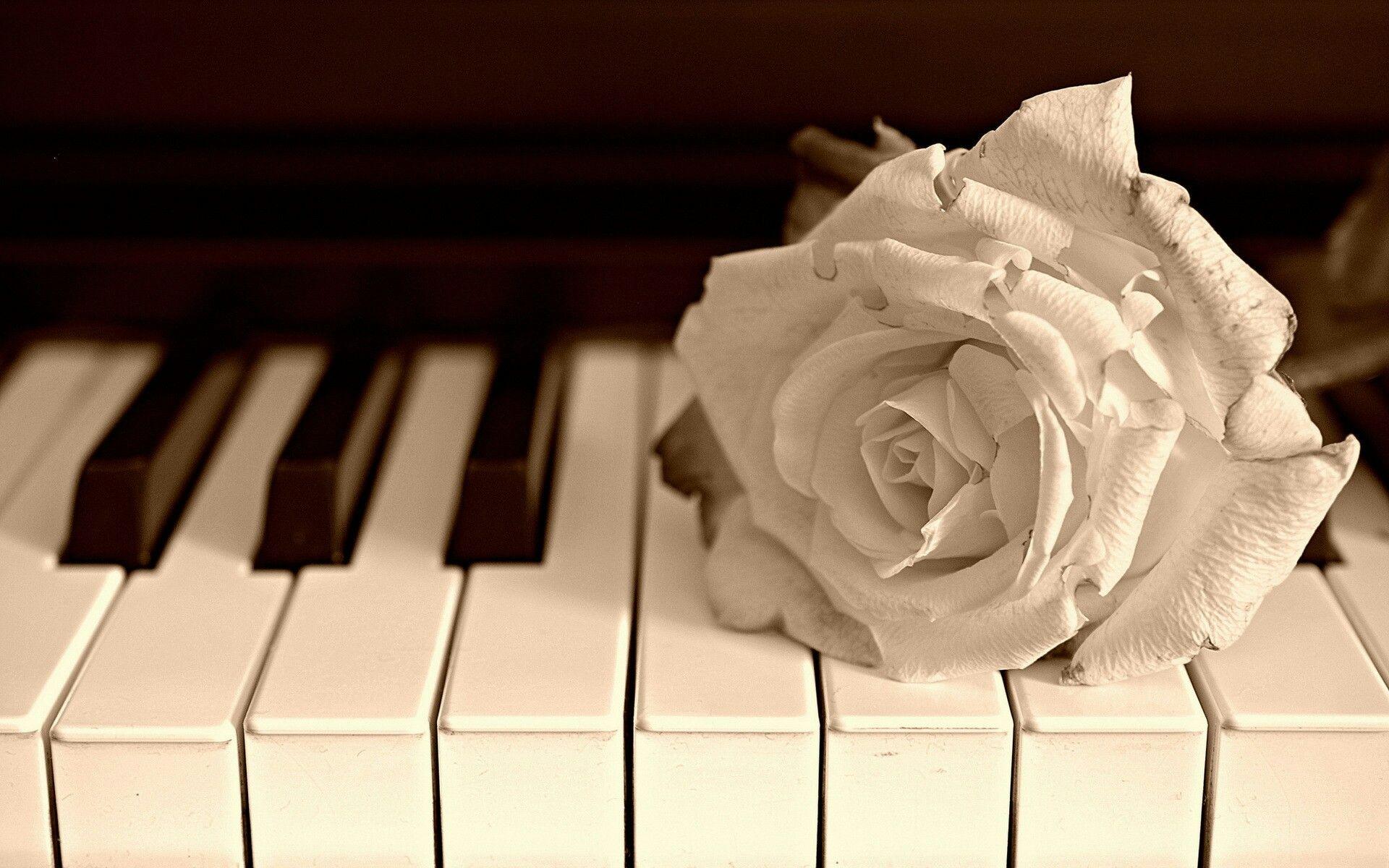 Piano ::. Piano, Music wallpaper