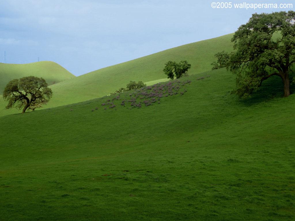 Rolling Hills Wallpaper Free HD Background Image Picture