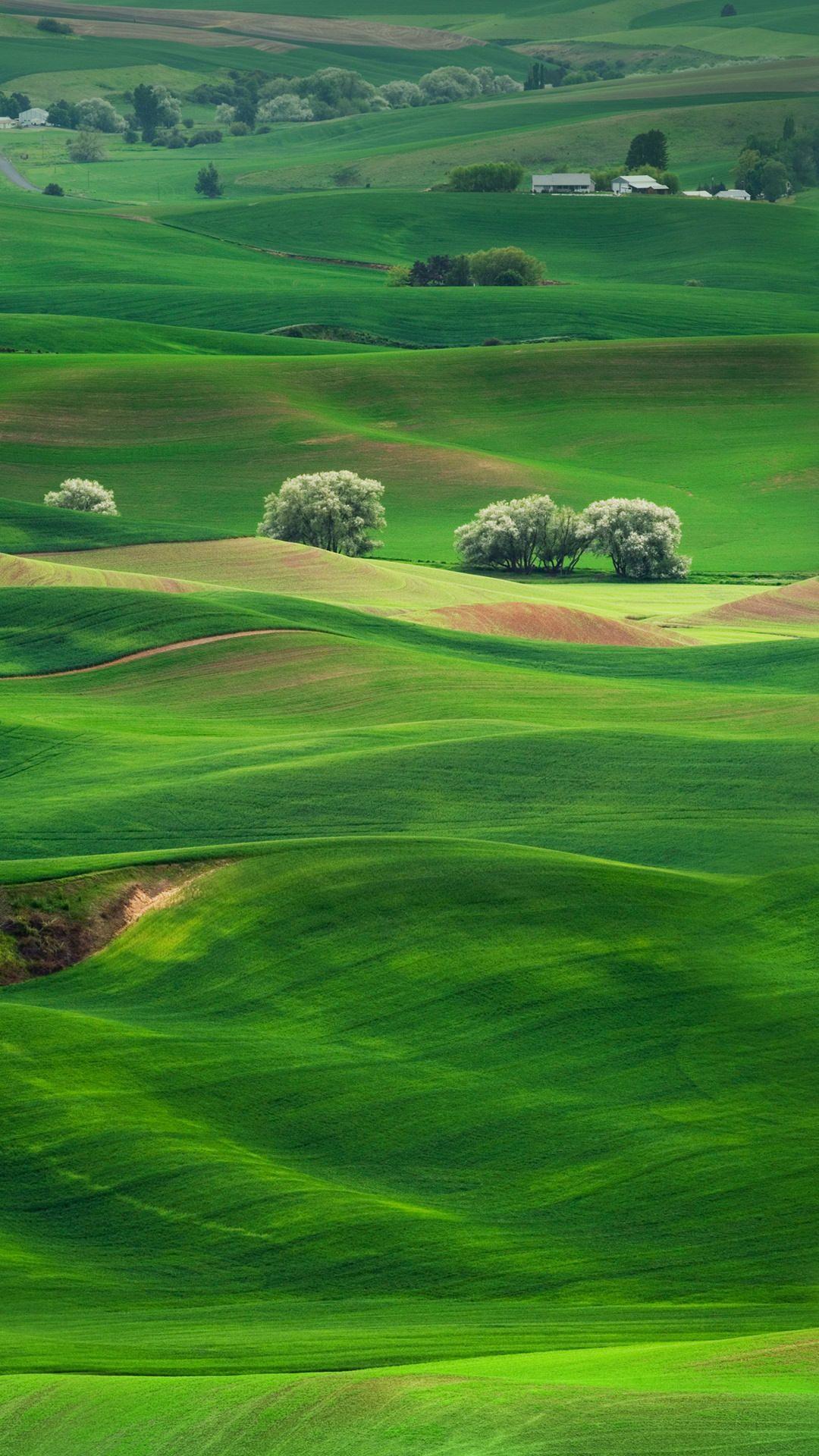 Green rolling hills. iPhone background and other shit