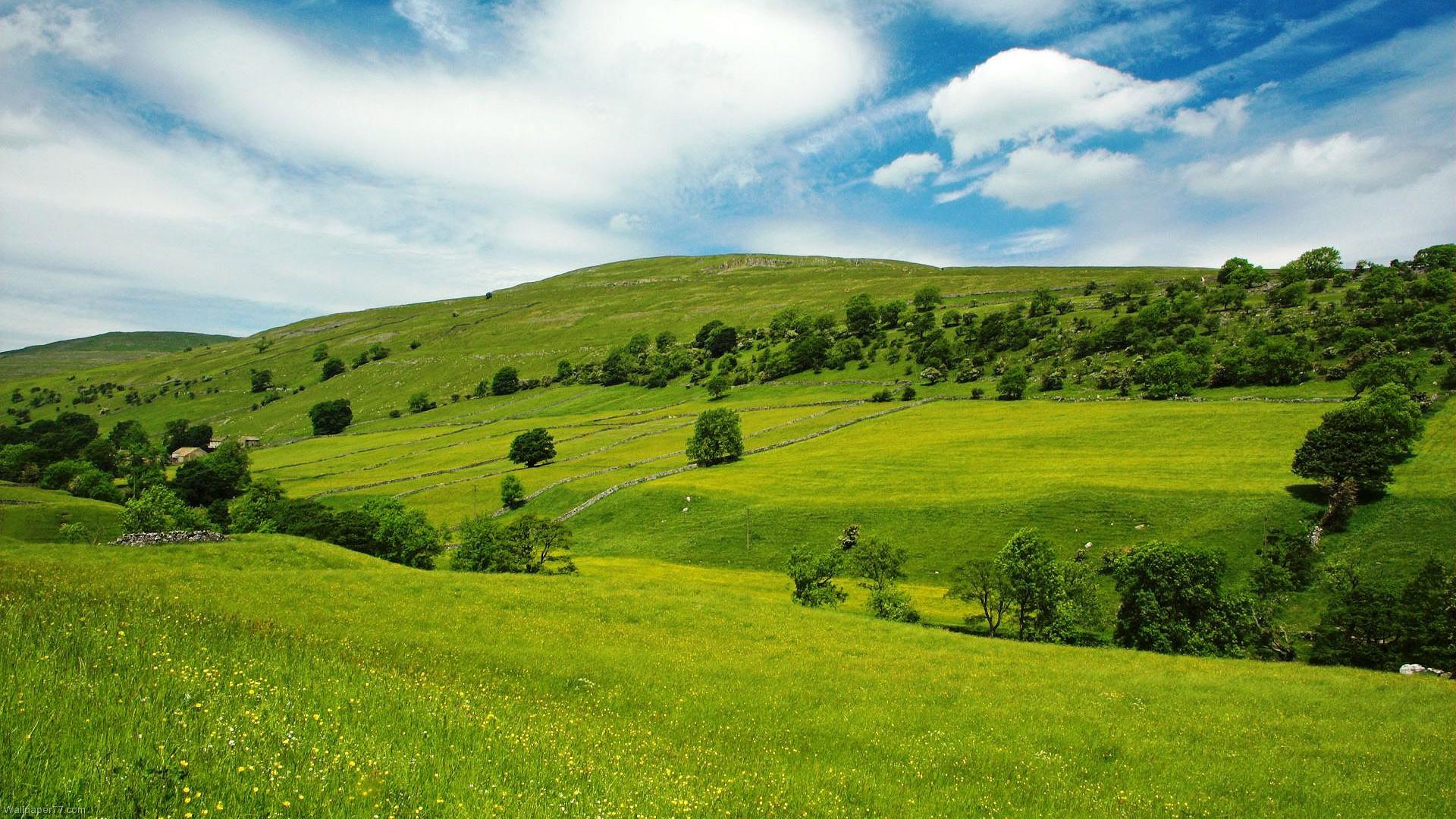 Green Hills Wallpaper