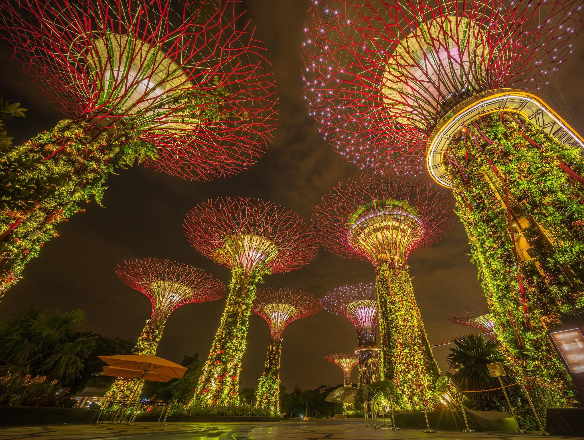 Gardens By The Bay HD Wallpaper. Background Imagex1544