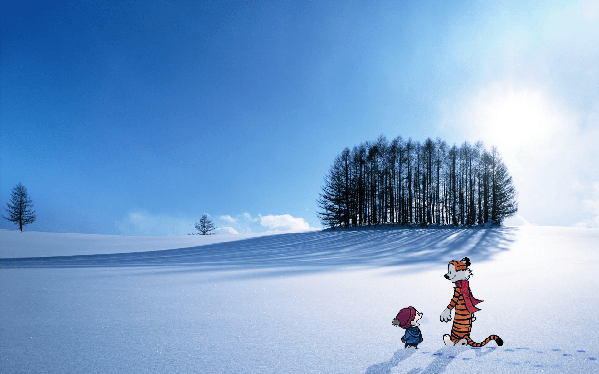 OC) Calvin and Hobbes in a remote snow field