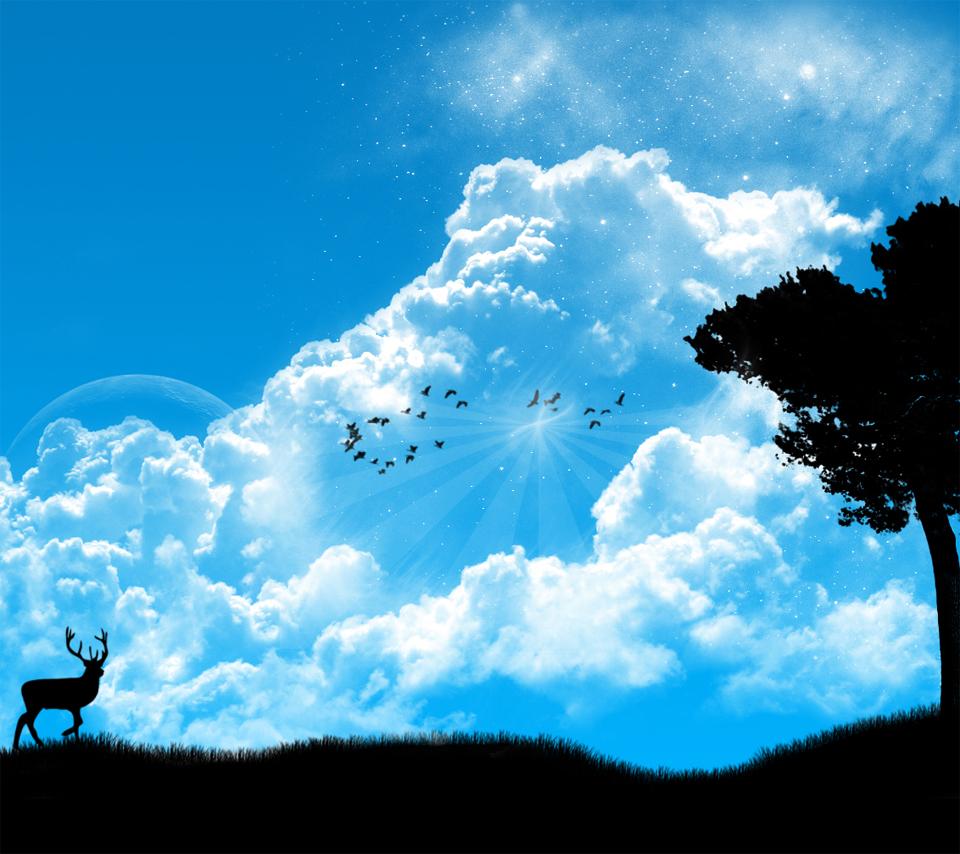 Hd Nature Clouds Android Wallpaper Newman That Next