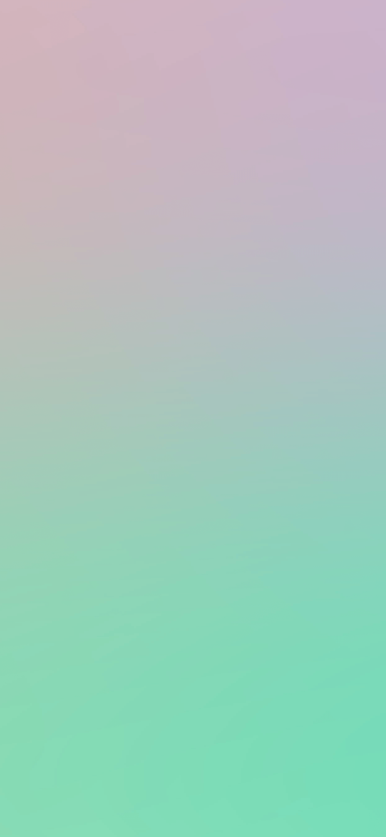 Mint Green Wallpaper For iPhone 11 Pro Max