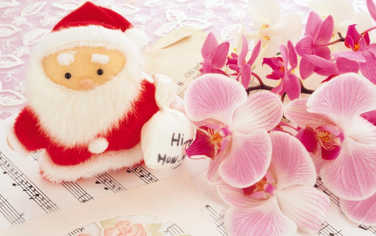 Little Santa wallpaper. Little Santa