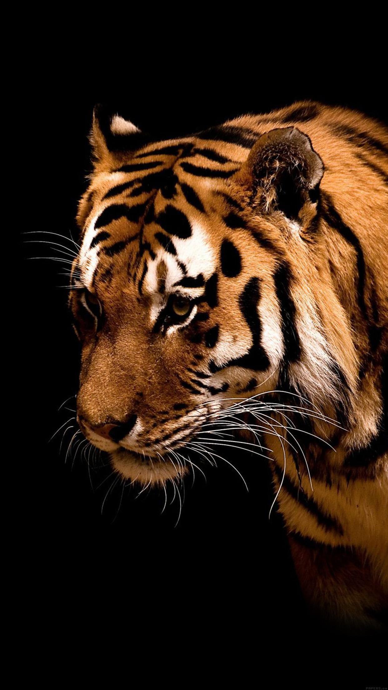 Tiger Jk Dark Animal Love Nature Android wallpaper