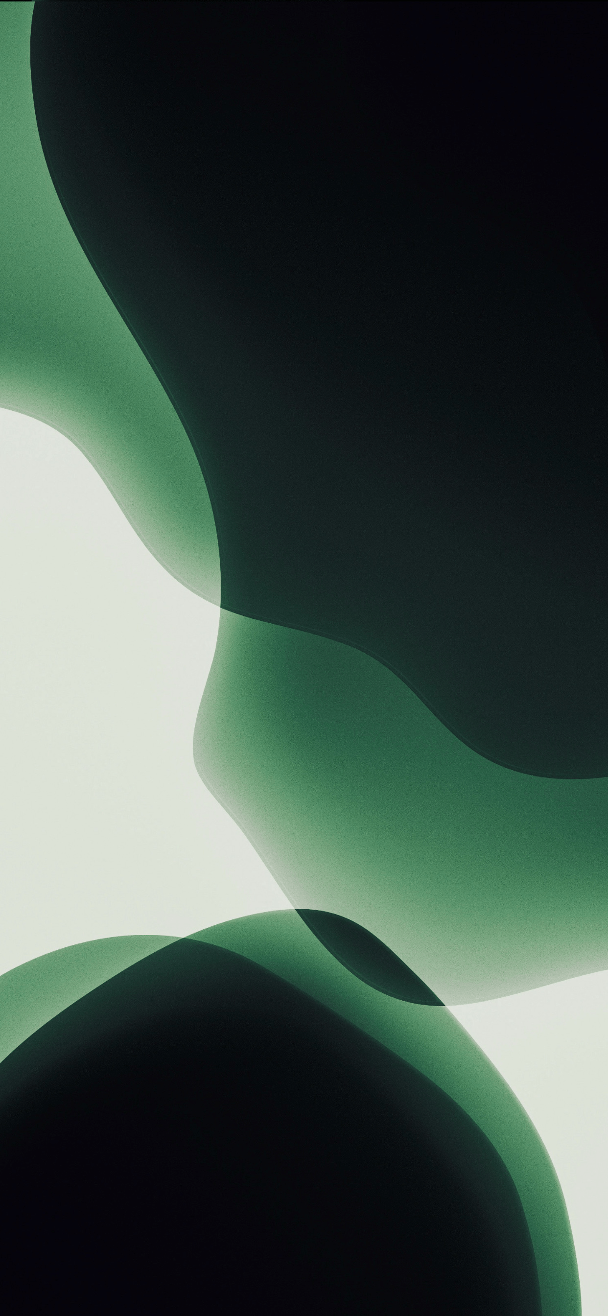 Midnight Green wallpaper