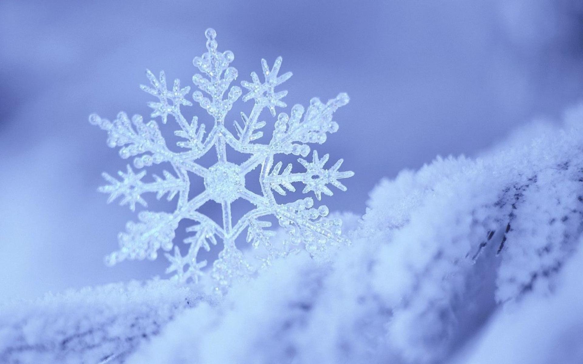 Beautiful snowflake wallpaper Desktop. Snowflake