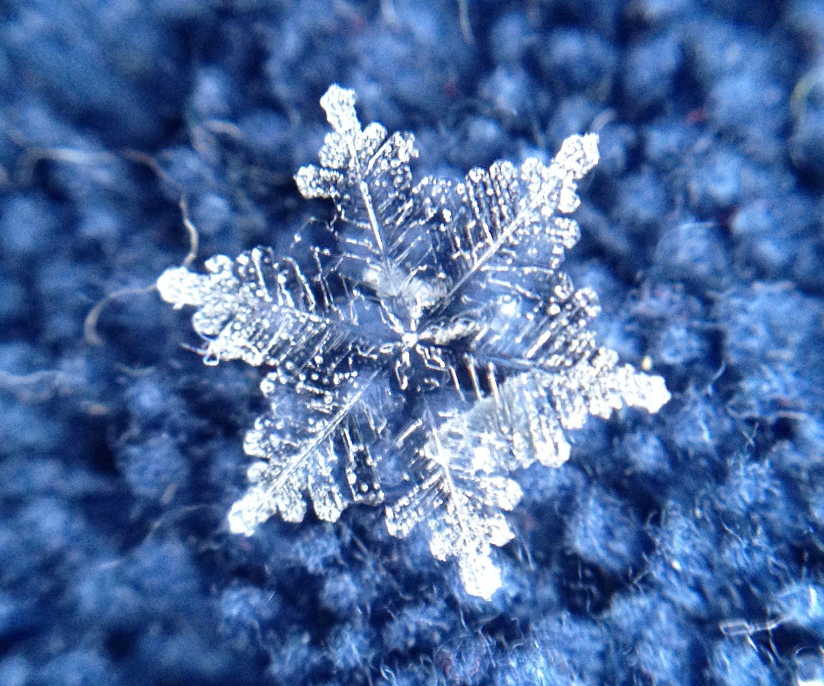 Macro iPhone image of snowflakes from a Midwest snowstorm