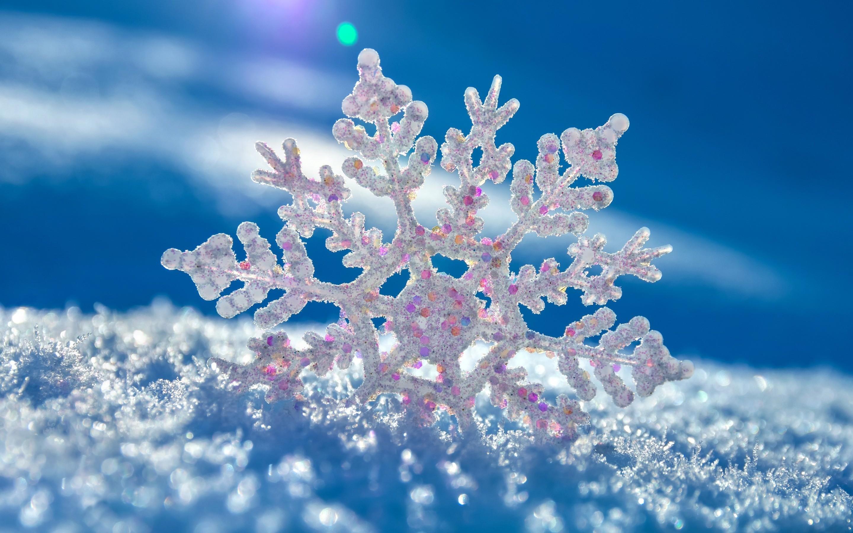 Snowflake up close wallpapers wallpaper cave