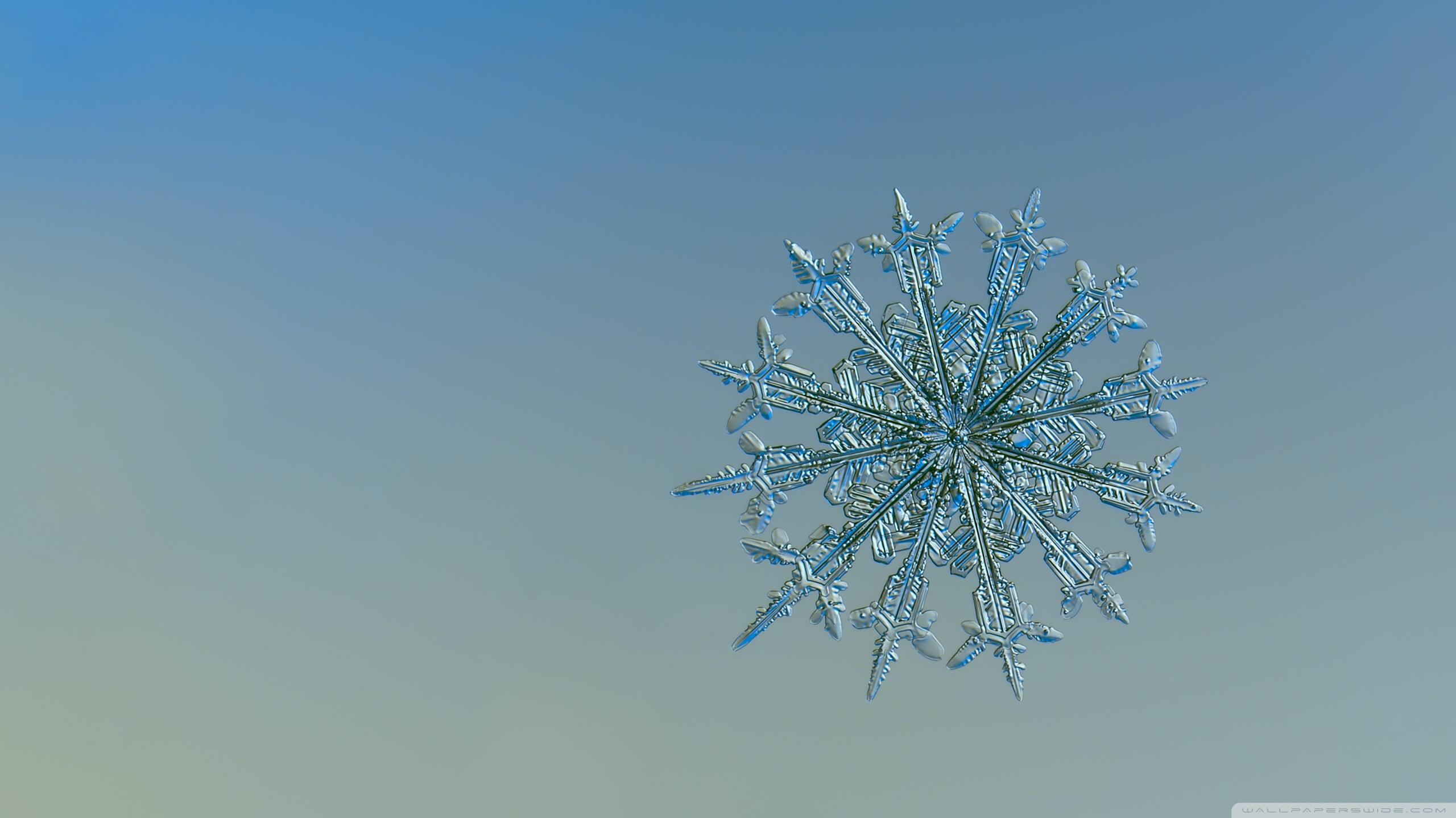 Real Snowflake Falling Up Close UHD Desktop Wallpaper for 4K