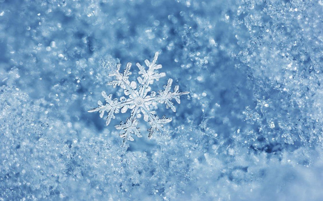 Perfect snowflake cold and ice winter wallpaper