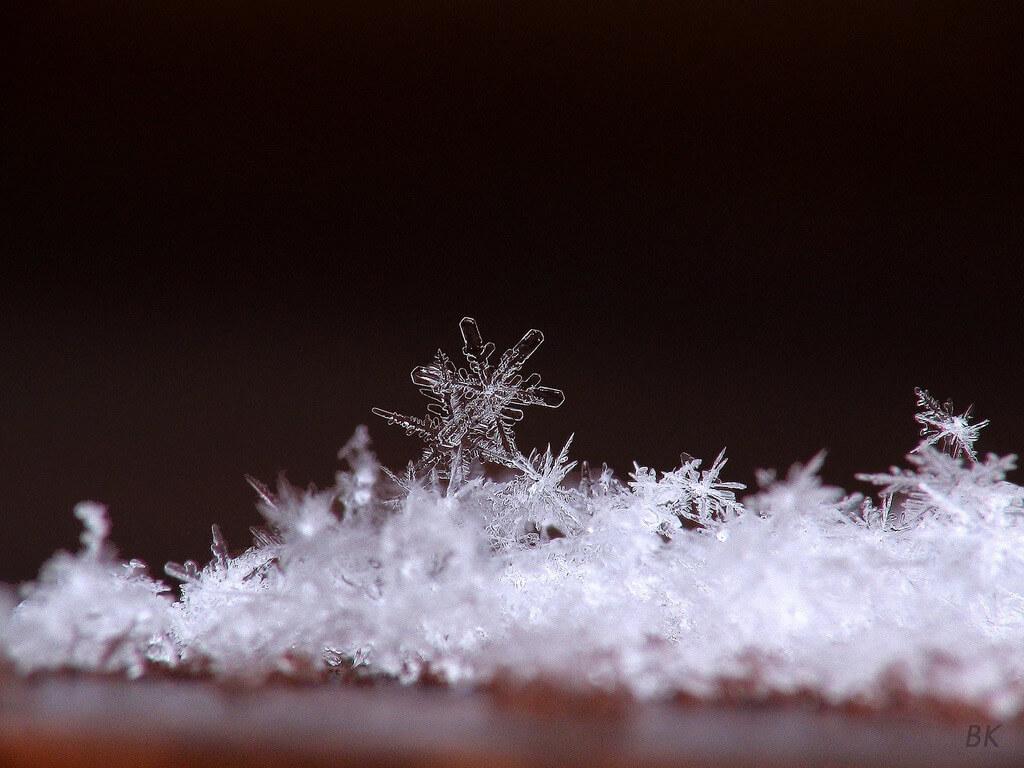 Majestic Close Up Picture Of Snowflakes Photo Argus