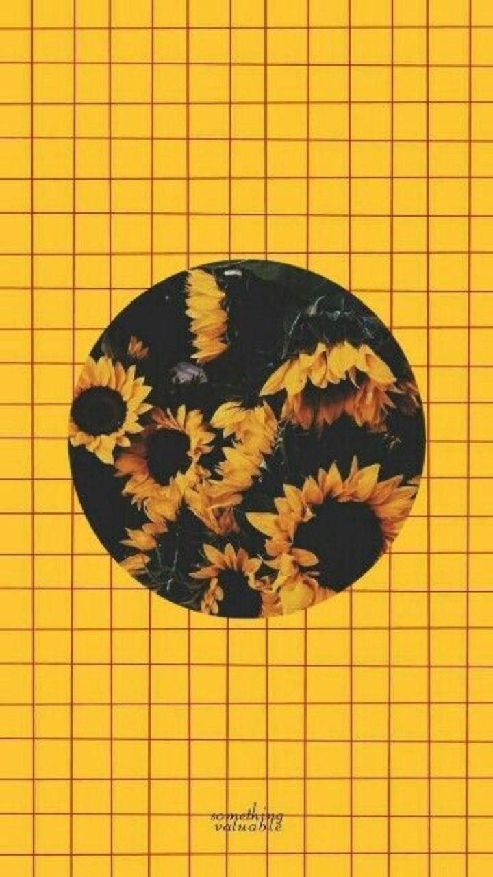 fashionista1152 !-/•. Sunflower