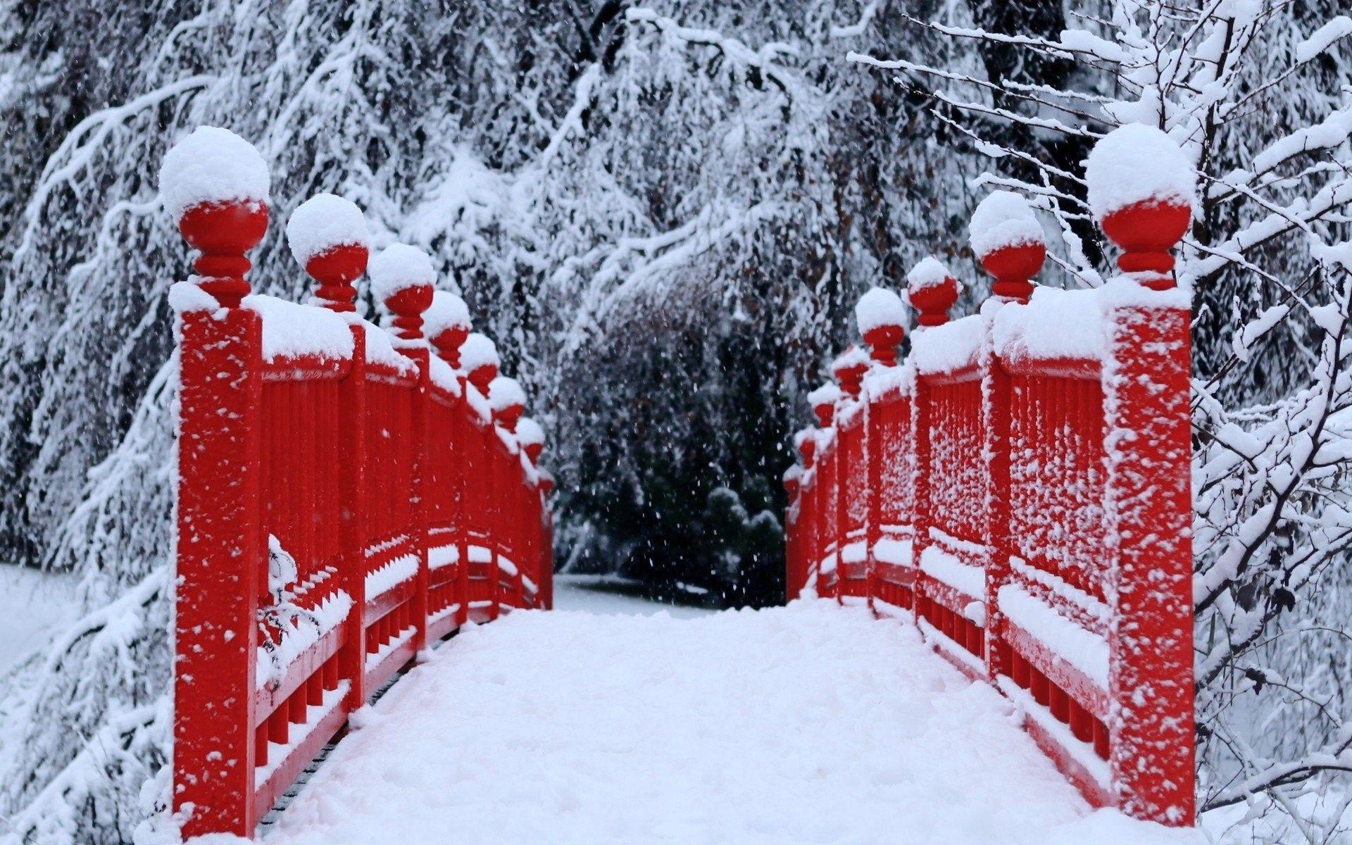 Red Winter Wallpaper