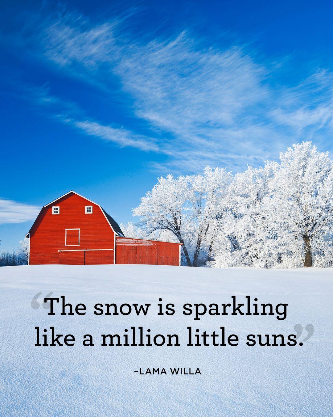 Winter Quotes That Will Help You Enjoy the Beauty