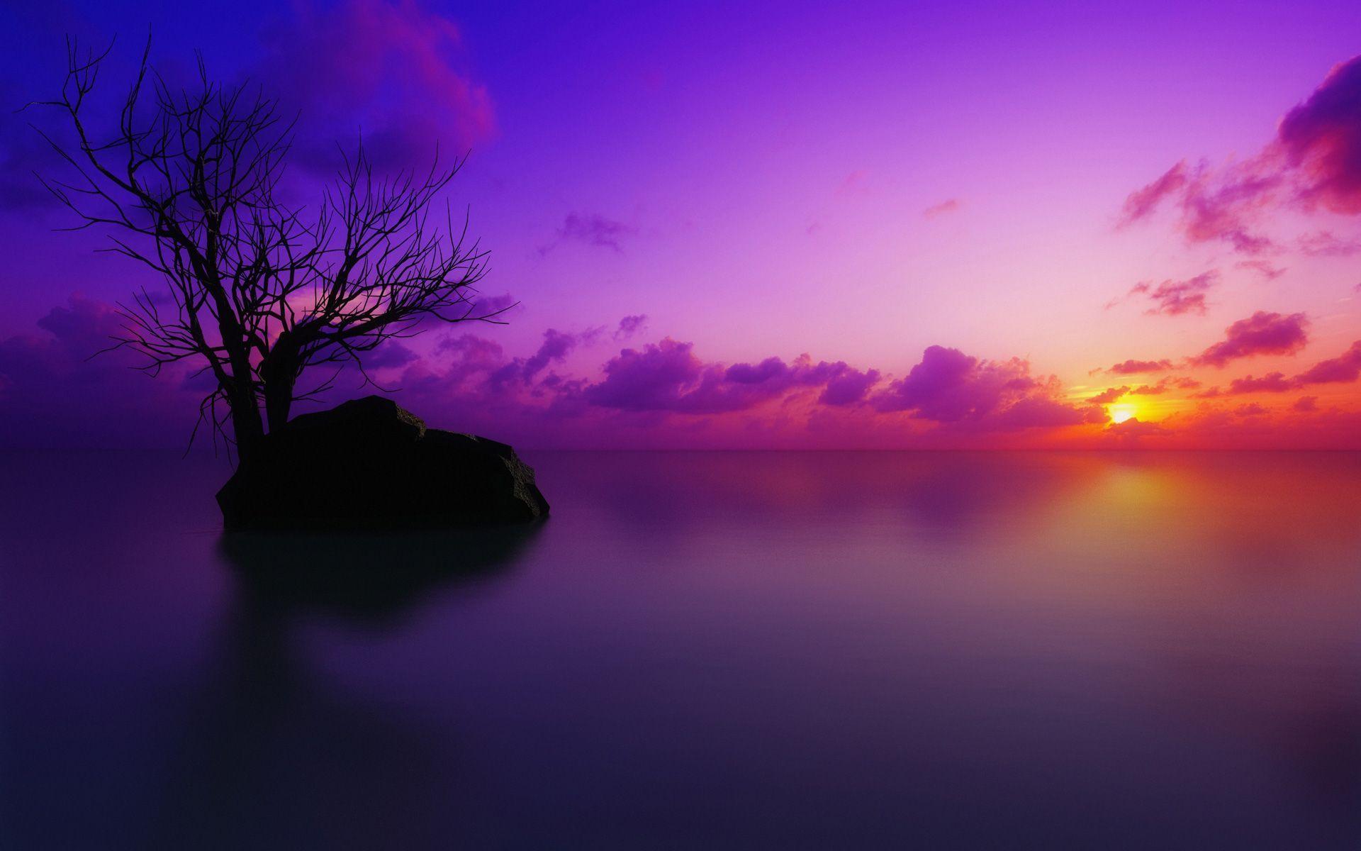 Romantic Purple Sunset Wallpaper