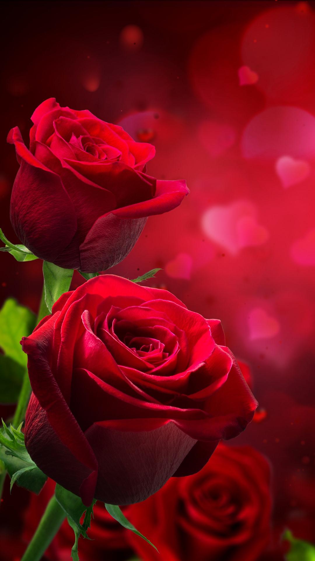 Red roses, love hearts, hazy, romantic 1242x2688 iPhone XS