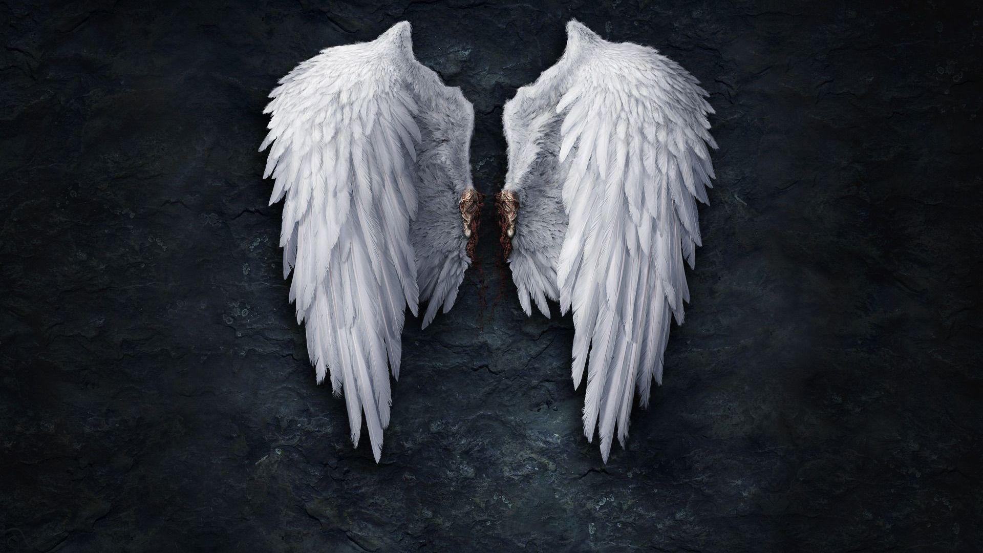 White Angel Wings # 1920x1080. All For Desktop