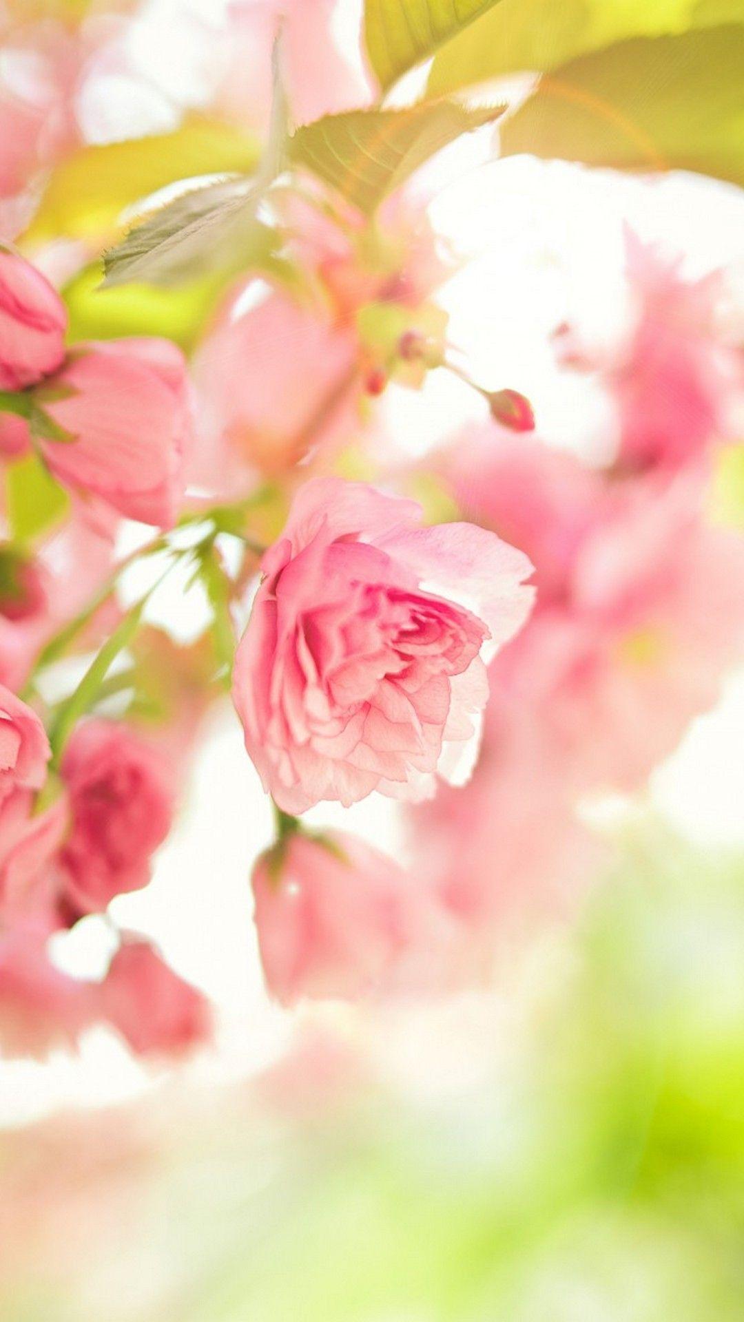 iPhone X Wallpaper Cute Spring. Cute flower wallpaper