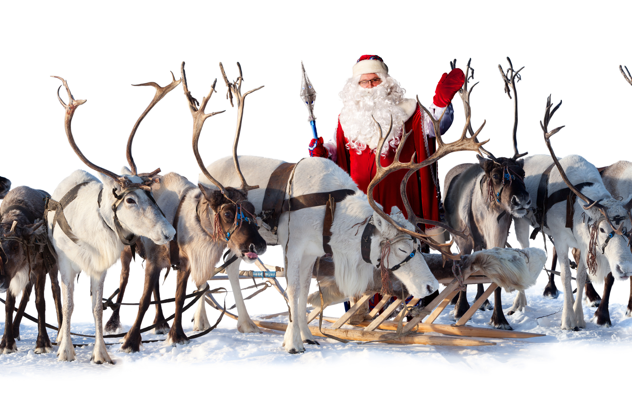 Santa Claus reindeer sleigh wallpaperx1600