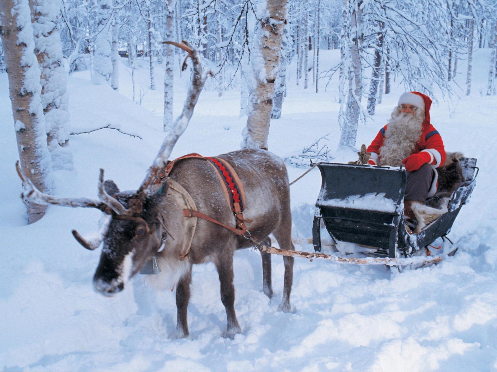 Free download Santa Claus Reindeer 8 Cool Wallpaper