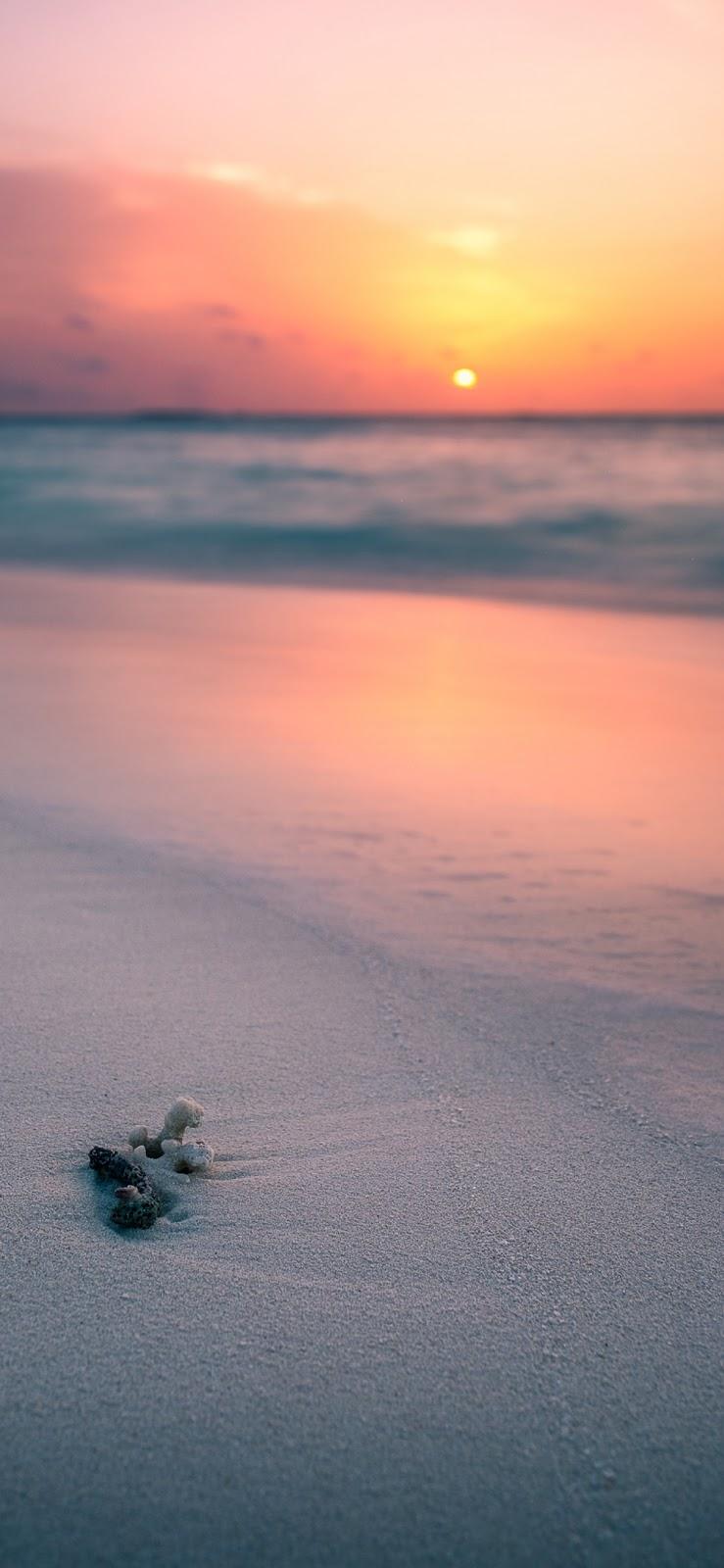 Sunset on the beach (iPhone X) « BEST WALLPAPER VIRAL