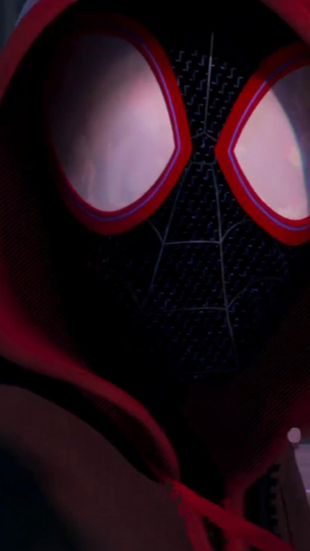 Spider Man Into The Spider Verse Poster Movie Movie Poster