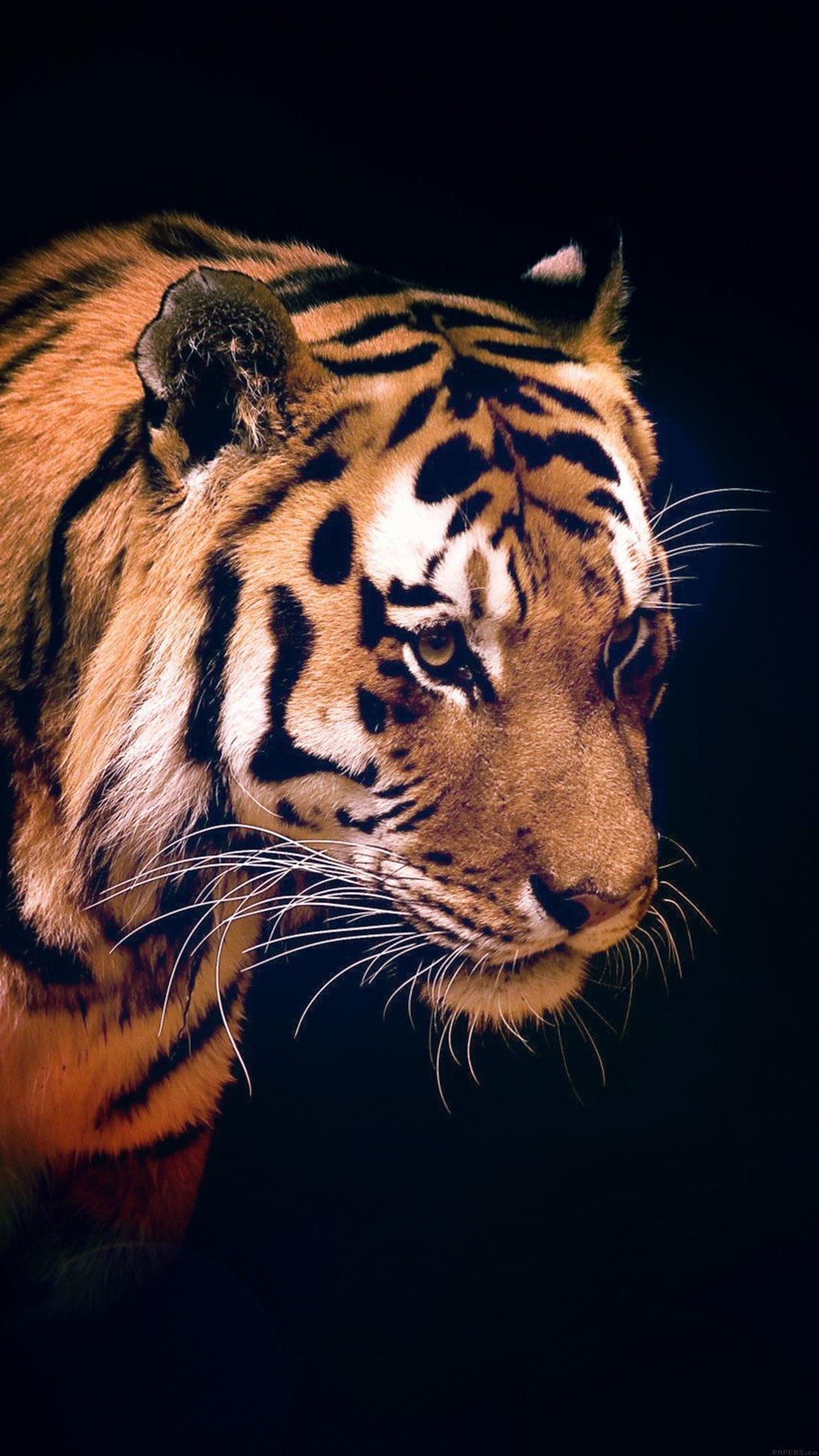 Tiger Dark Animal Love Nature Android wallpaper HD