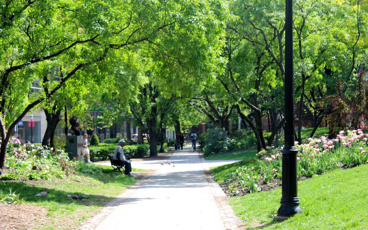 St. James Park of Toronto