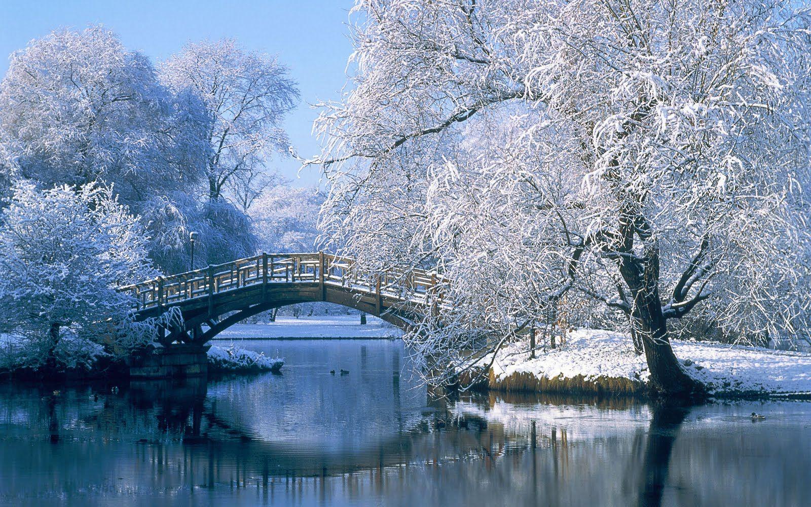 Winter Wonderland Desktop Background. Winter landscape, Winter scenery, Winter picture