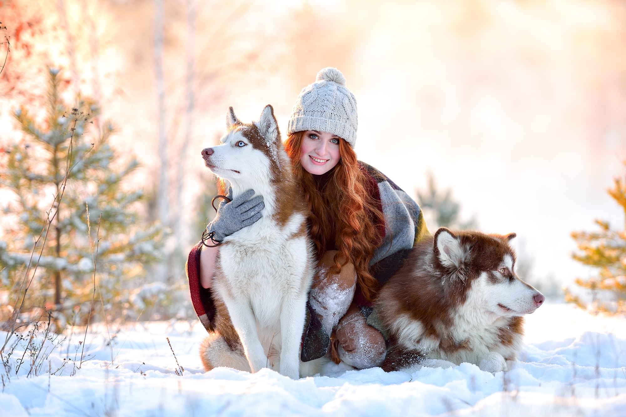 Girl In Snow With Siberian Husky, HD Girls, 4k Wallpaper