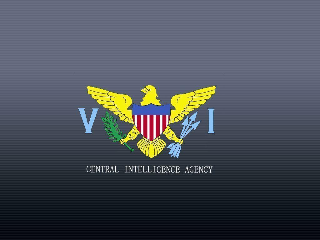 Defense Intelligence Agency Wallpaper