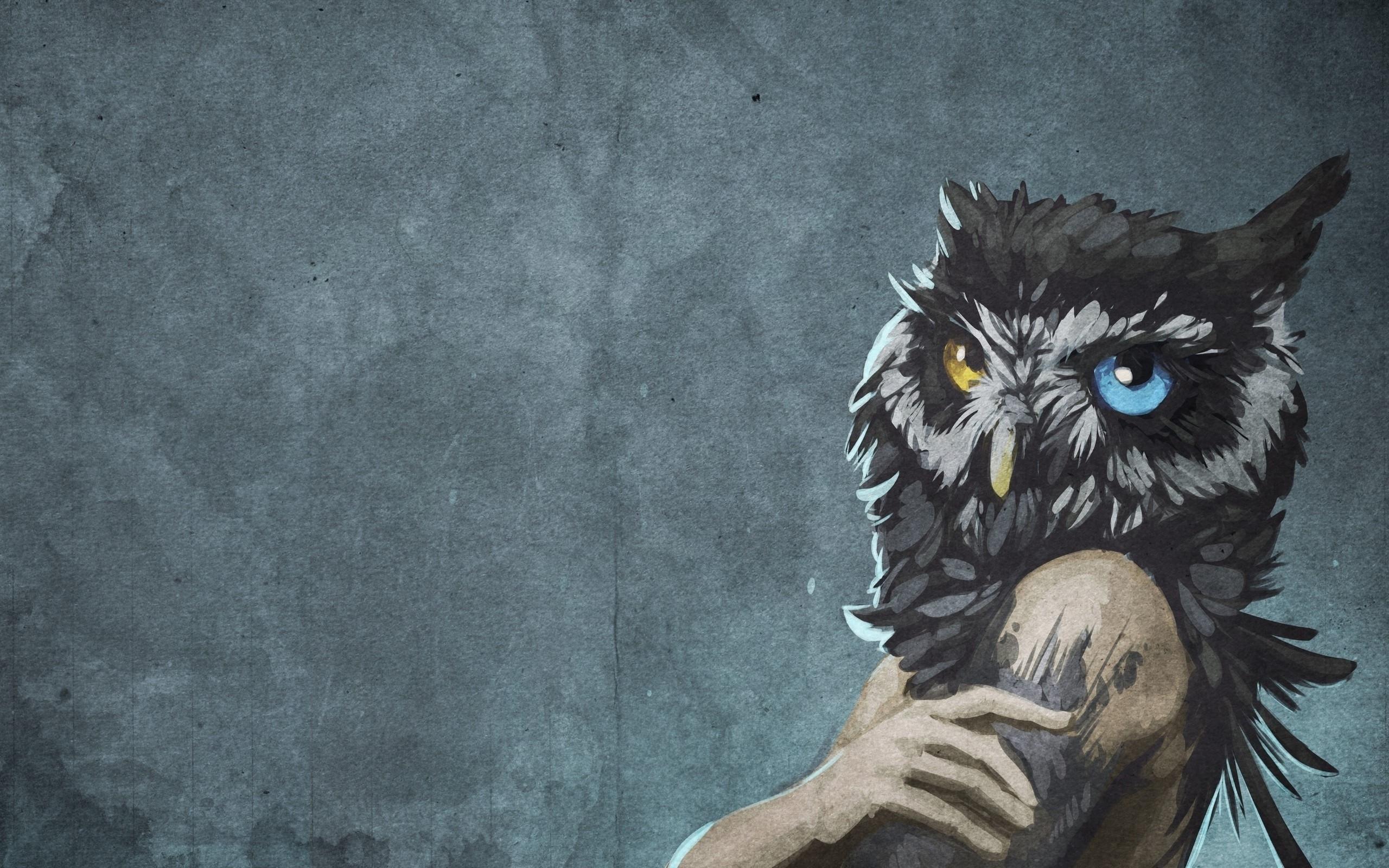 women head owls background 2560x1600 wallpaper High Quality
