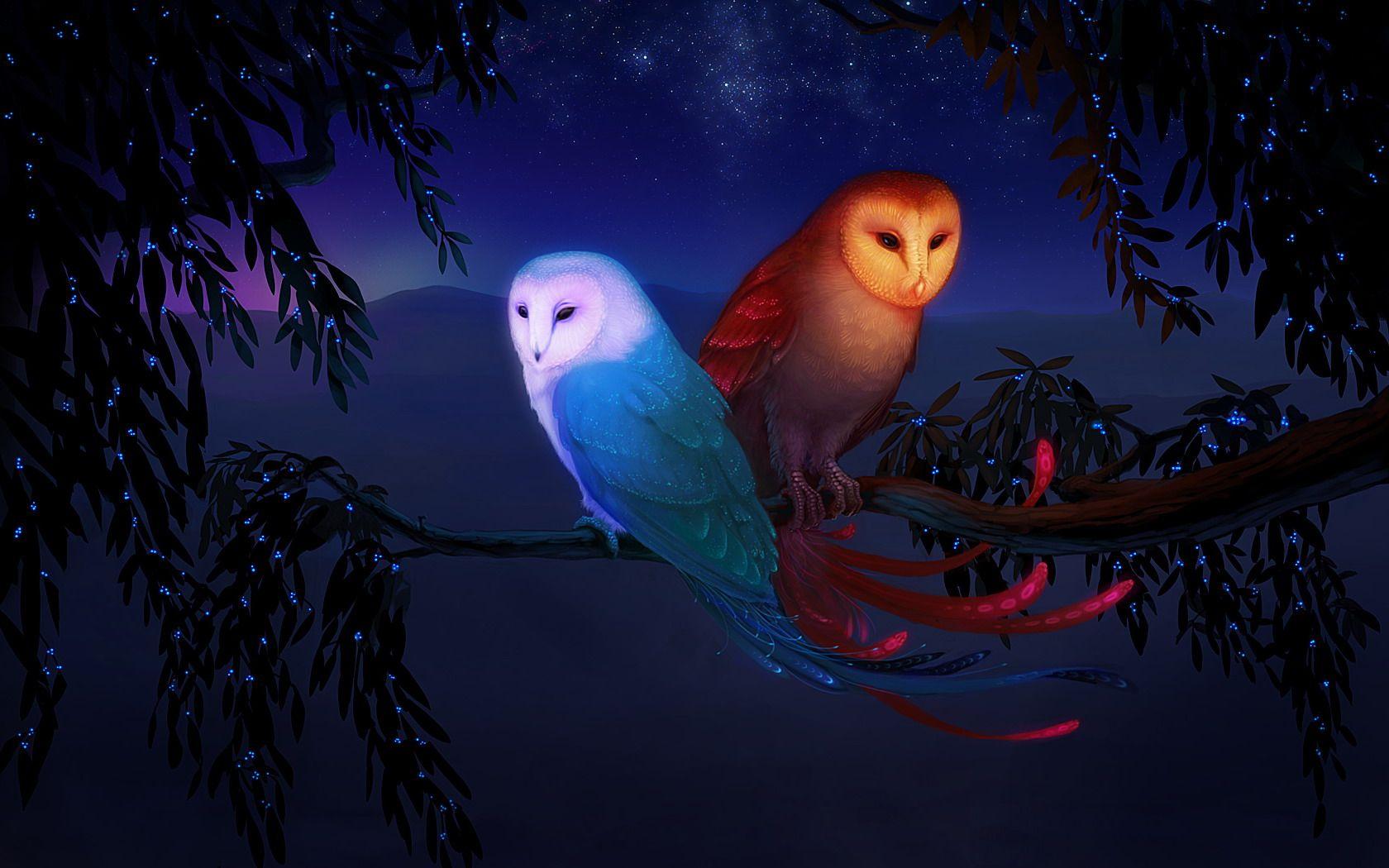 Two Owls Fantasy' (artist unknown). Owl wallpaper, Owl, Owl art