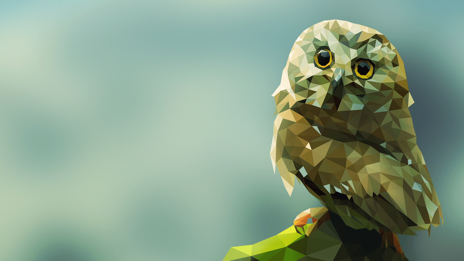 Polygonal Owl