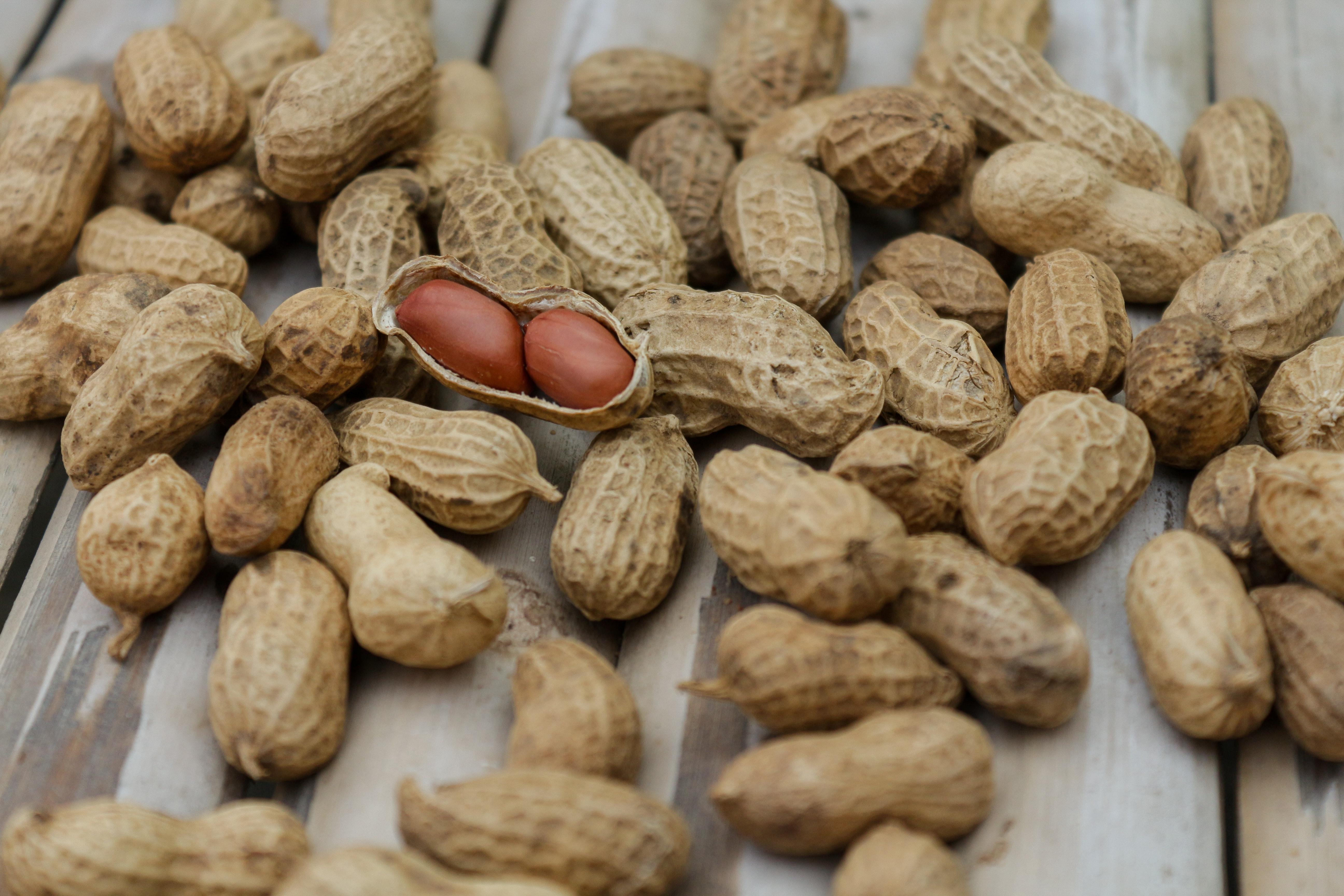 Peanut Lot · Free