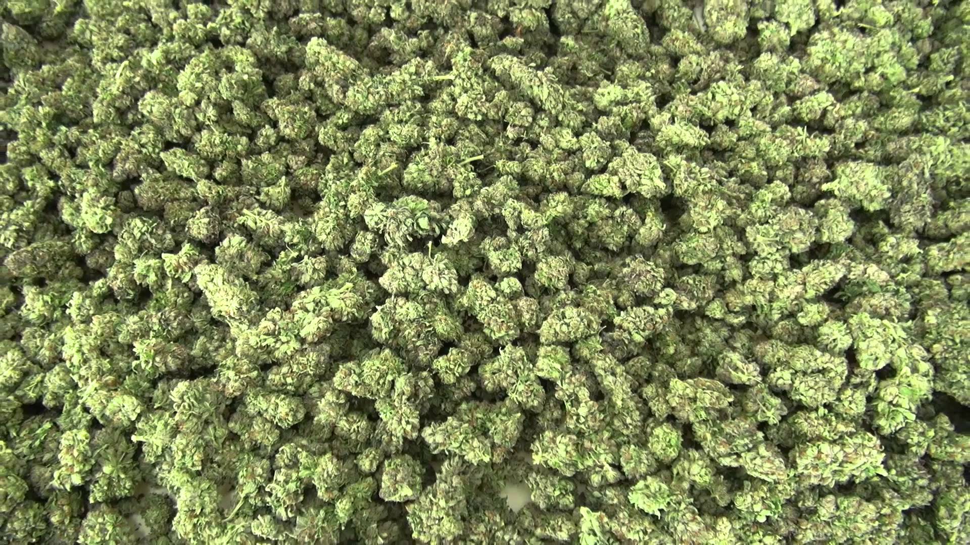 px Picture for Marijuana Bud