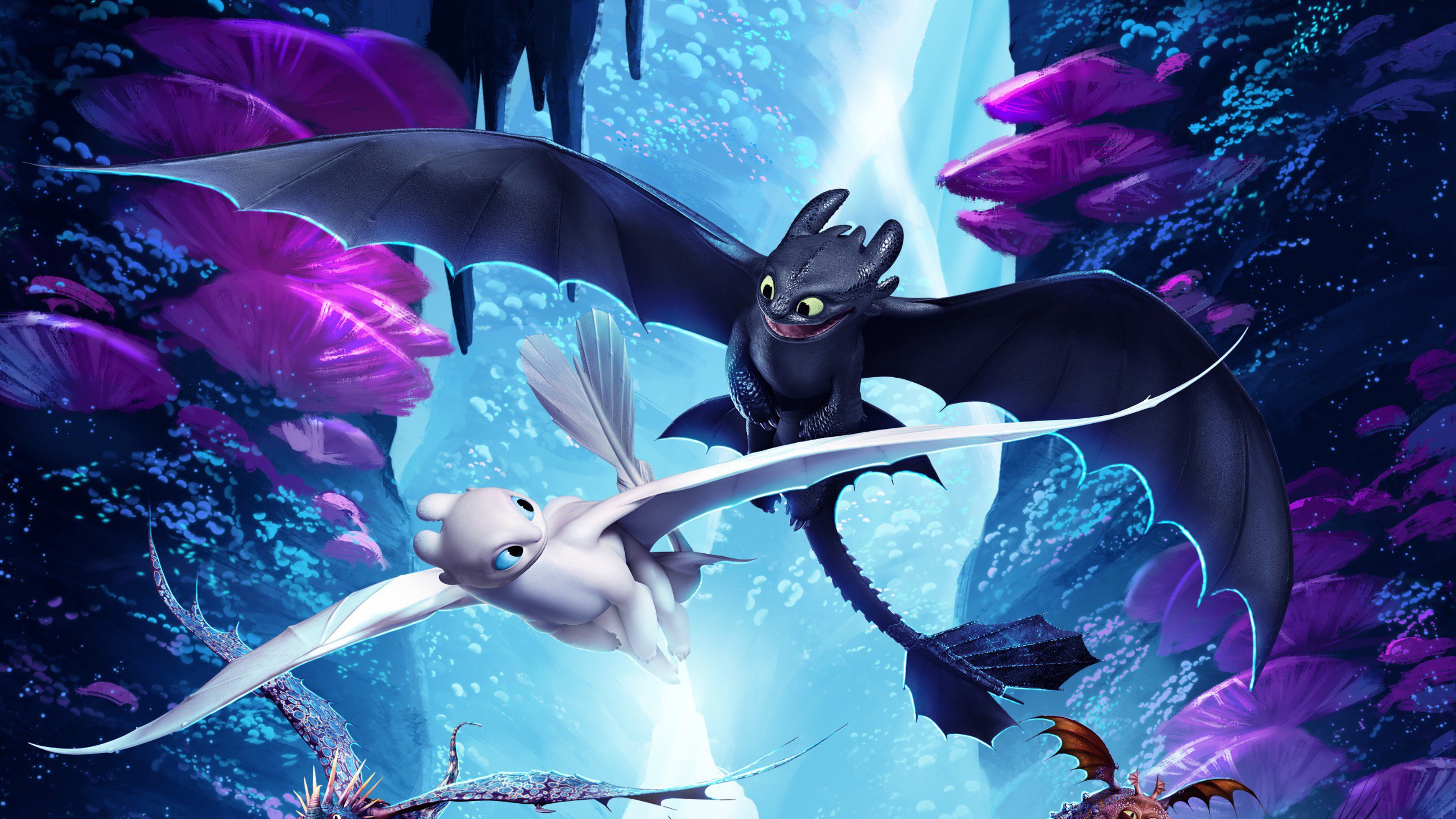 How To Train Your Dragon The Hidden World Night Fury And.