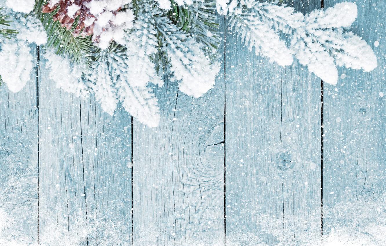Winter Wallpaper Snow In The Woods
