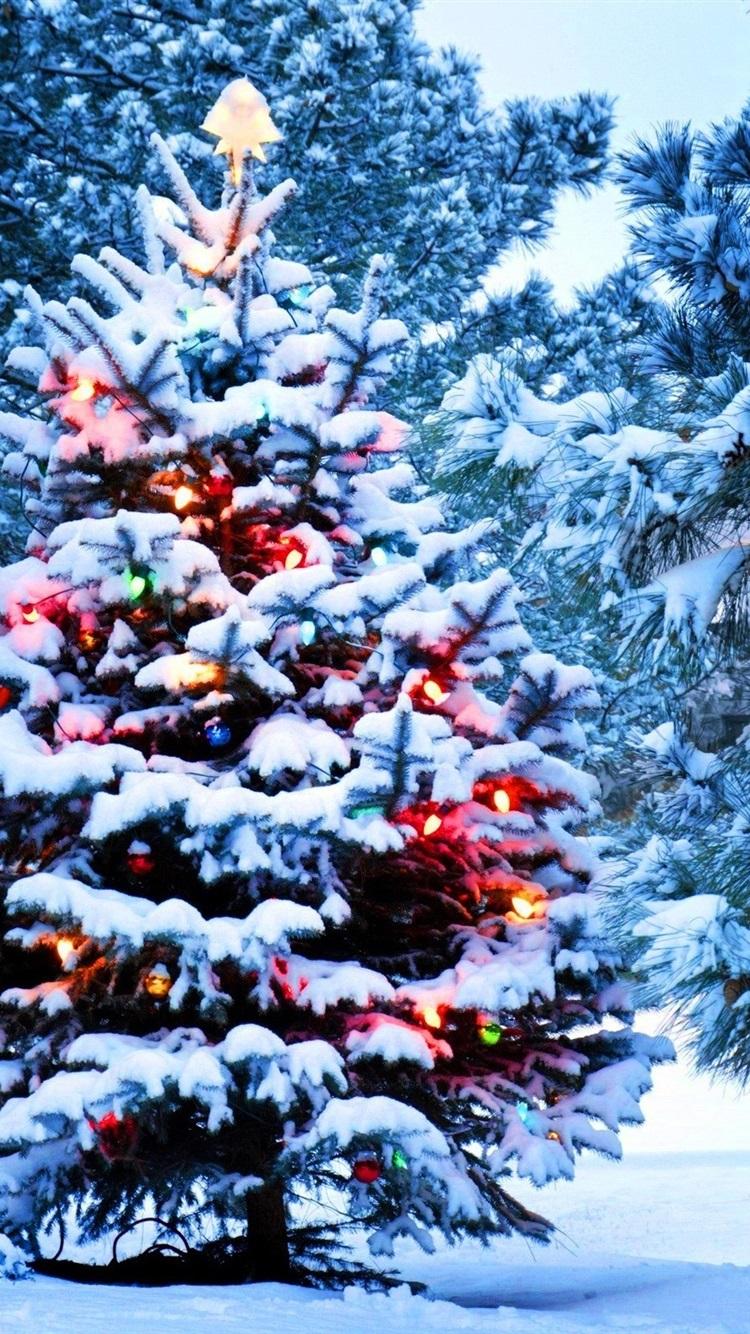 Wallpaper Christmas, snow, New Year, tree, lights 2560x1600