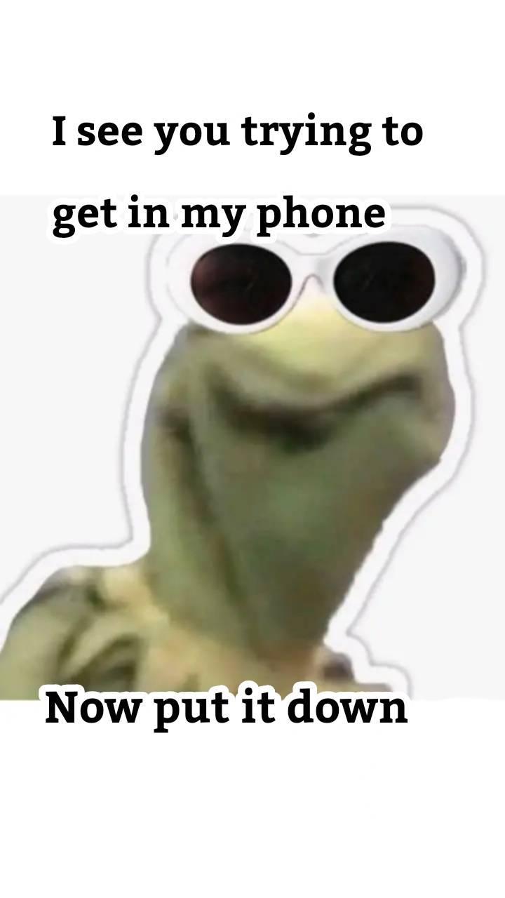 Kermit meme wallpaper