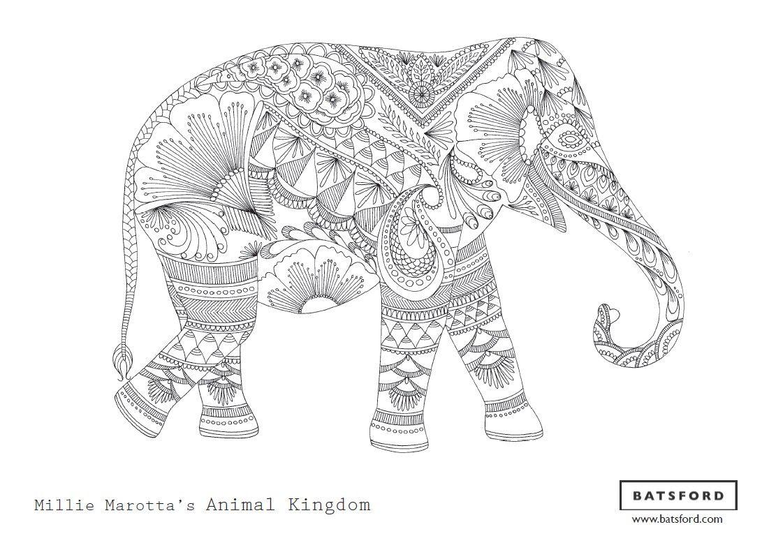 Free Elephant Zentangle Download. Adult coloring pages