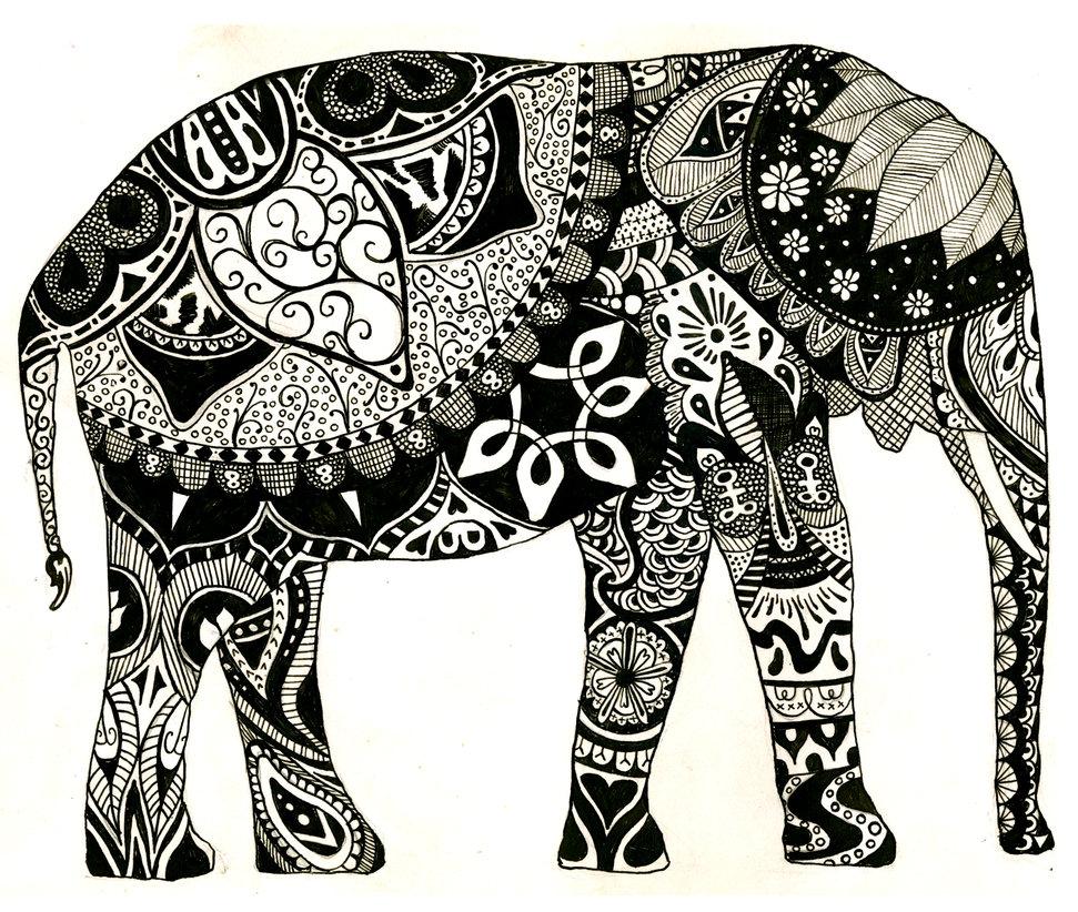 elephant shared